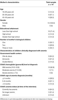 A Qualitative Assessment of Mothers' Experience With Pediatric Anemia Care in Arequipa, Peru